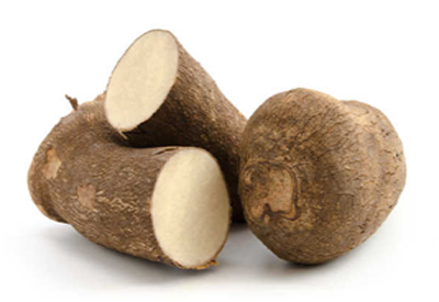Le tubercule de yam bio igname sauvage